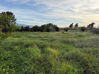 Terreno en venta en Beniaján en Murcia