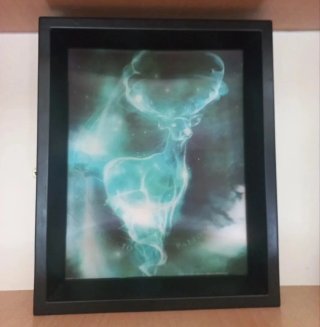 Cuadro Lenticular Harry Potter Sirius Black