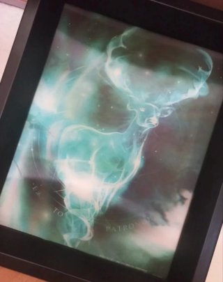 Cuadro Lenticular Harry Potter Sirius Black