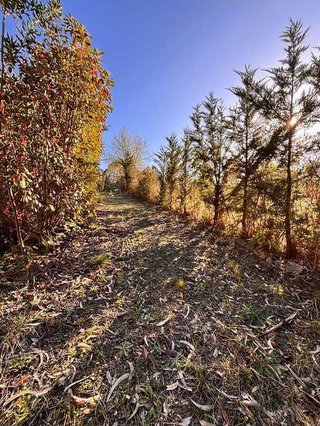 Terreno en venta en Gorliz