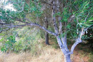 Terreno en venta en Casalot en Mont-Roig del Camp