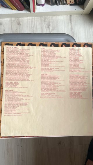 LP Roger McGuinn - International Pop Rock
