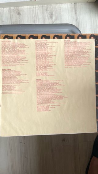 LP Roger McGuinn - International Pop Rock