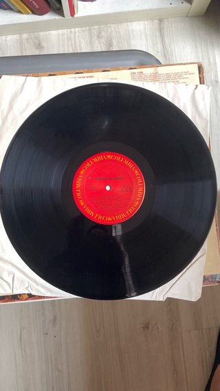 LP Roger McGuinn - International Pop Rock