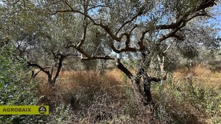 Terreno en venta en Santa Coloma de Cervelló