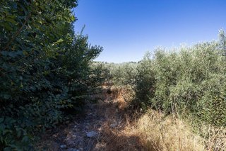Terreno en venta en Otura