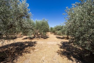 Terreno en venta en Otura