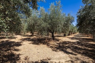 Terreno en venta en Otura