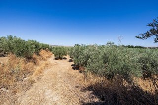 Terreno en venta en Otura