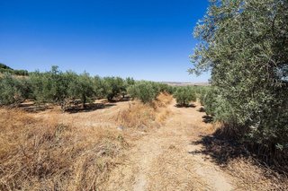 Terreno en venta en Otura
