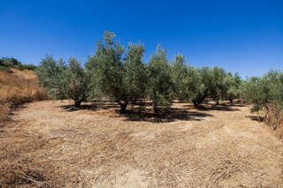 Terreno en venta en Otura