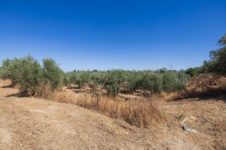 Terreno en venta en Otura