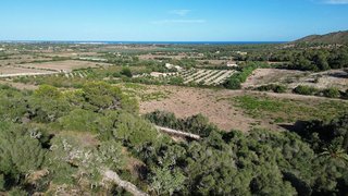 Casa rural en alquiler en Manacor Centro en Manacor