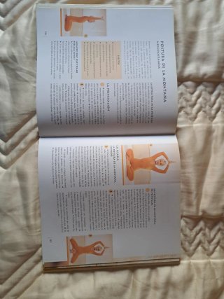 Gran libro del yoga