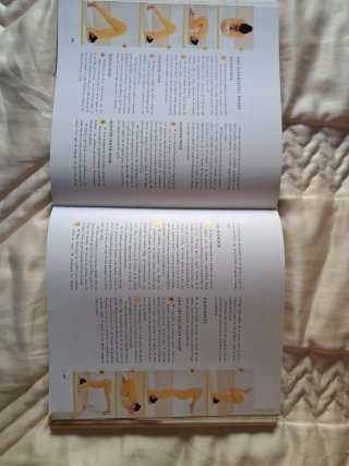 Gran libro del yoga