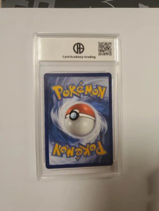 Carta Pokémon Rayquaza VMAX 101/159 Gem Mint 10