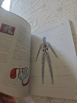 Libro de estetica