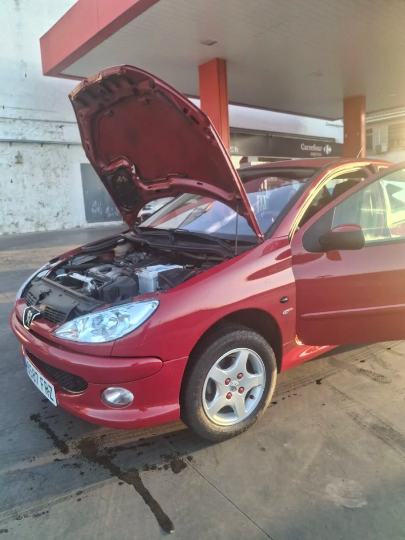 Peugeot 206 2007 - foto 1