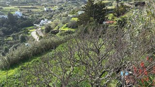 Terreno en venta en El Álamo-Arbejales en Teror