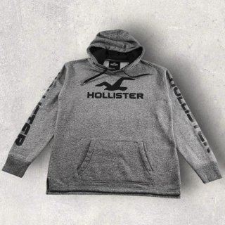 Sudadera Hollister Gris Logo Ave