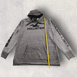 Sudadera Hollister Gris Logo Ave