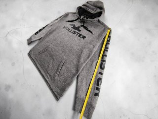 Sudadera Hollister Gris Logo Ave