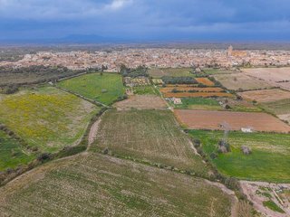 Terreno en venta en Muro en Muro