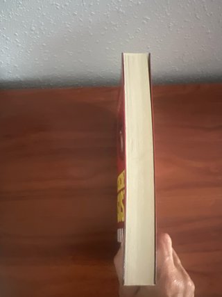 Libro “El secreto de la asistenta”