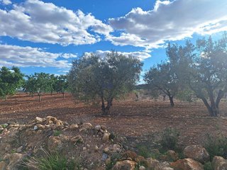 Terreno en venta en Pinós