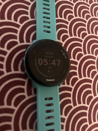 Reloj Garmin Forerunner 55