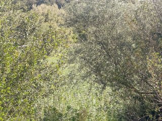 Solar en venta en Sant Llorenç des Cardassar