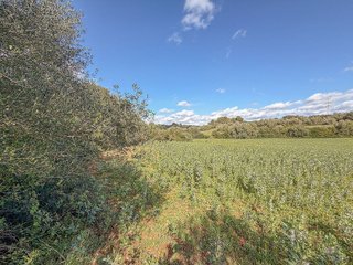 Solar en venta en Sant Llorenç des Cardassar