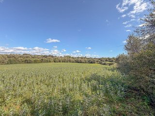 Solar en venta en Sant Llorenç des Cardassar