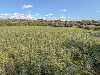 Solar en venta en Sant Llorenç des Cardassar