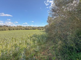 Solar en venta en Sant Llorenç des Cardassar