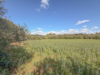 Solar en venta en Sant Llorenç des Cardassar