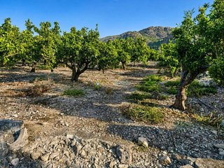 Terreno en venta en Pego