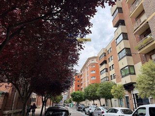 Local comercial en alquiler en Pº Zorrilla - Cuatro de Marzo en Valladolid