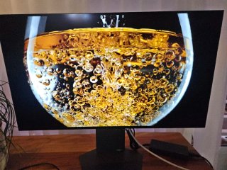 LG 32 OLED 4K UHD 240Hz Monitor
