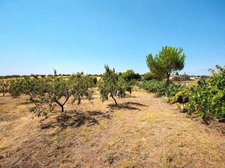 Terreno en venta en Yuncos