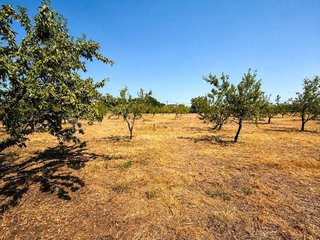 Terreno en venta en Yuncos