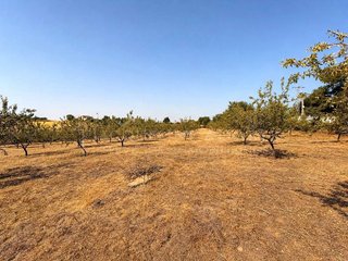 Terreno en venta en Yuncos