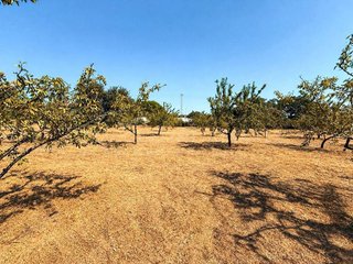 Terreno en venta en Yuncos