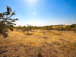 Terreno en venta en Yuncos
