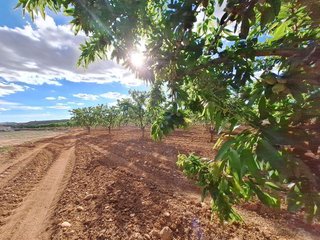 Terreno en venta en Pinós