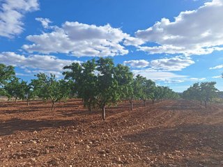 Terreno en venta en Pinós