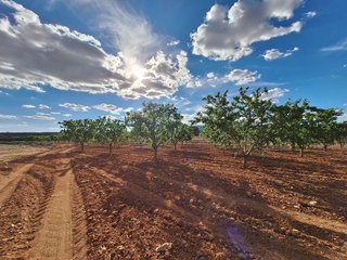 Terreno en venta en Pinós