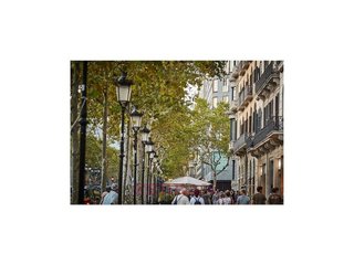 Local comercial en alquiler en El Gòtic en Barcelona