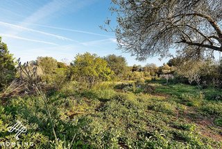 Casa rural en venta en Algaida