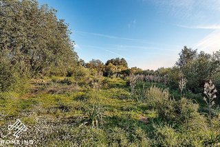 Casa rural en venta en Algaida